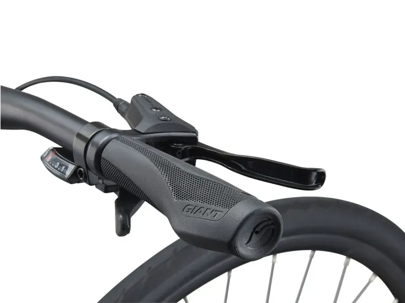 2021 Giant Escape 2 Disc Hybrid Bike in Grey-1