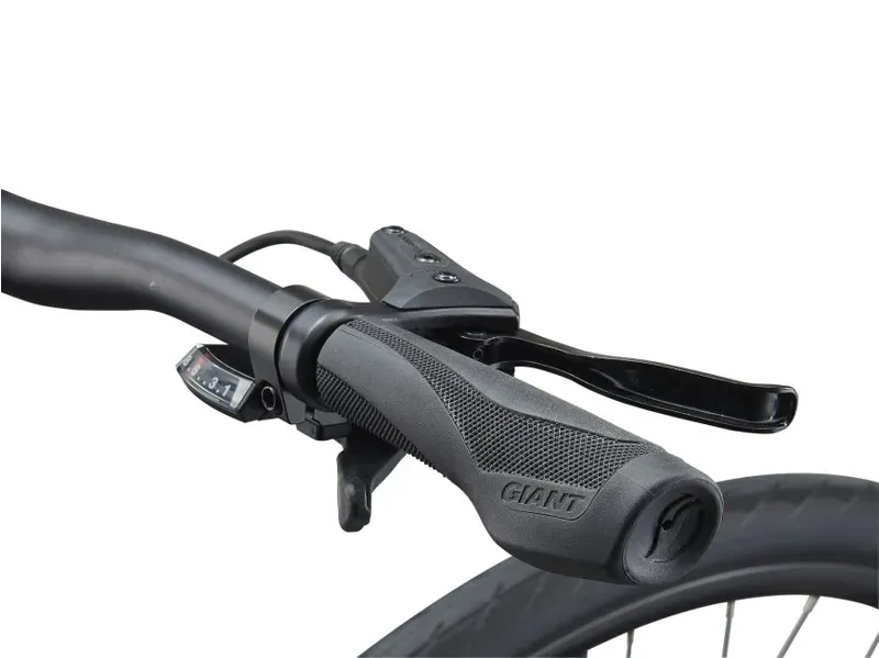 2021 Giant Escape 2 Disc Hybrid Bike in Red-1