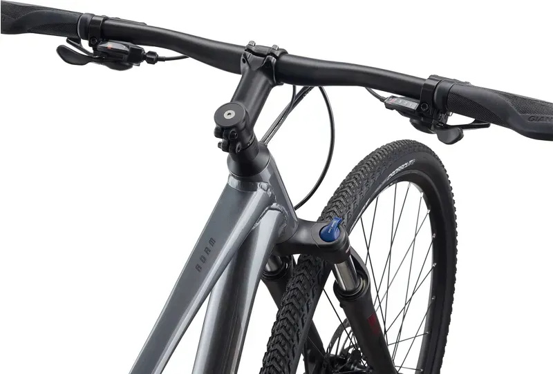 2021 Giant Roam 2 Disc Hybrid Bike in Grey-5