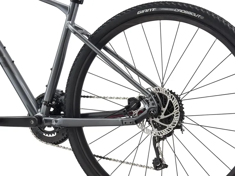 2021 Giant Roam 2 Disc Hybrid Bike in Grey-1