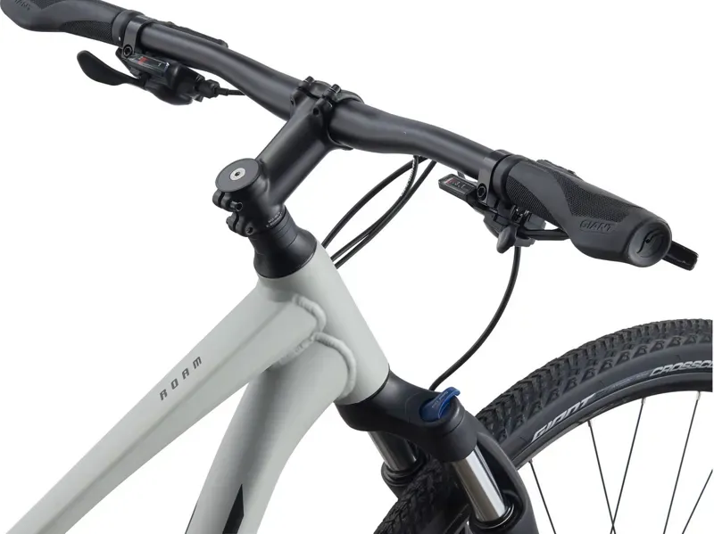 2021 Giant Roam 3 Disc Hybrid Bike in Grey-5