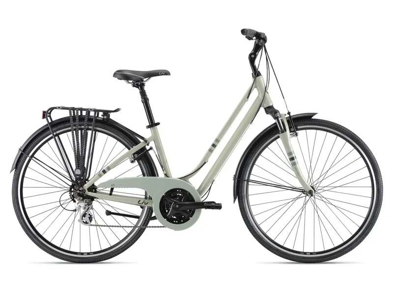 2021 Liv Flourish FS 2 Womens Hybrid Bike in Grey
