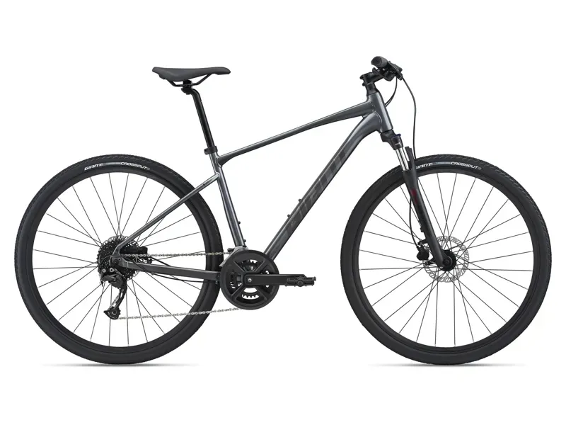 2021 Giant Roam 2 Disc Hybrid Bike in Grey