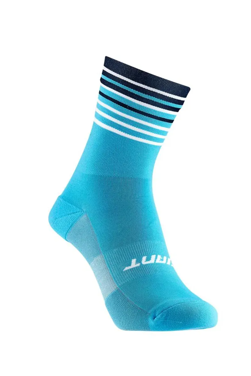 2019 Giant Race Day Sock in Blue