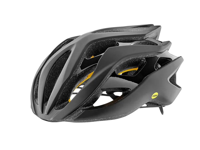 2018 Giant Rev MIPS Road Helmet in Black