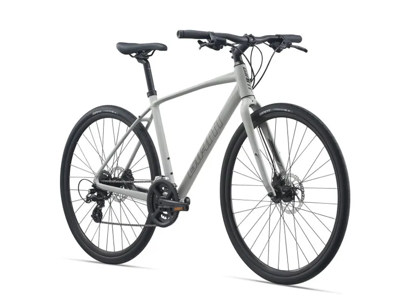 2021 Giant Escape 2 Disc Hybrid Bike in Grey