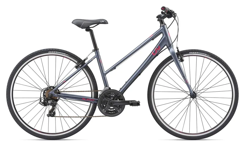 2019 Liv Alight 3 Womens Hybrid Bike in Grey