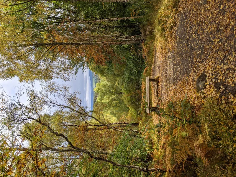 TESTs COLLECTION PAGE LOADS